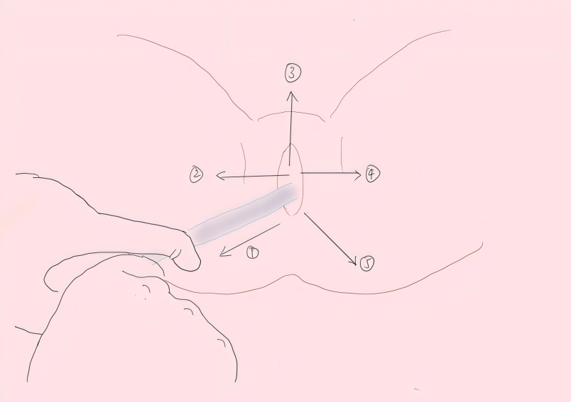 20251204912036.png WPS图片(1)图2.png