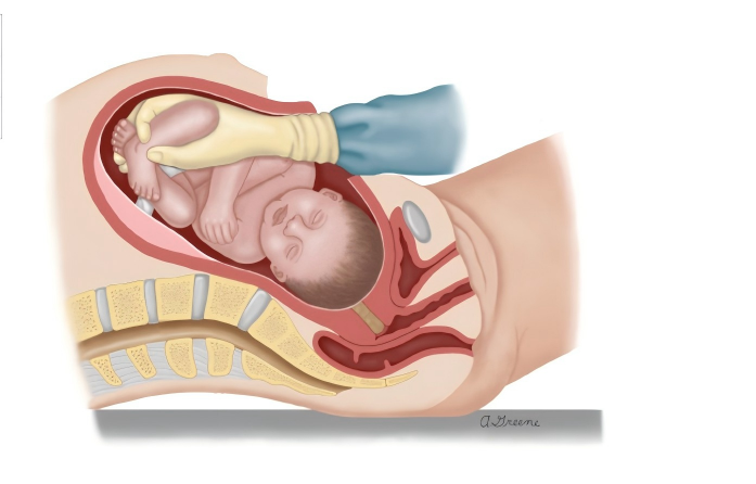 20260115198296.png WPS图片(1)3.png