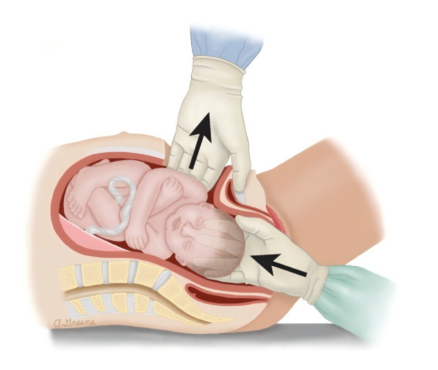 20260115257683.png WPS图片(1).png