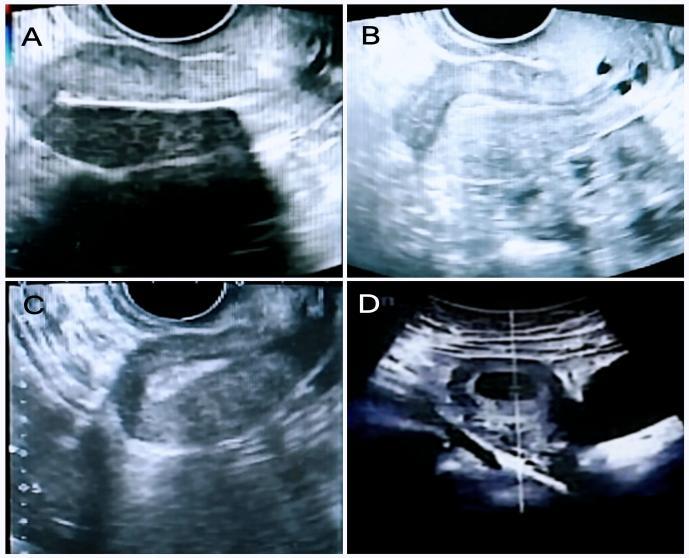 20260205170647.jpeg 图4.jpeg