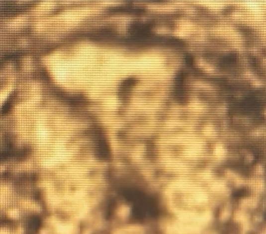 20260205840880.jpeg 图1.jpeg